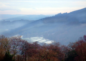 Brechfa Forest Brechfa Forest