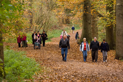 Delamere Forest Park Delamere Forest Park
