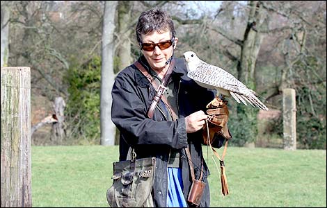 The International Centre for Birds of Prey The International Centre for Birds of Prey