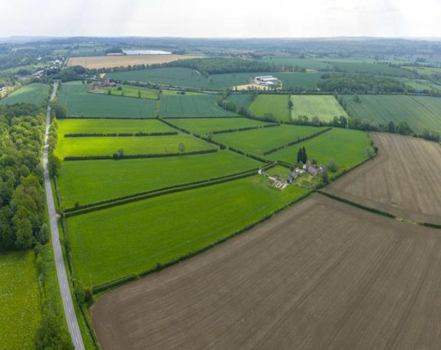 Mount Pleasant Farm