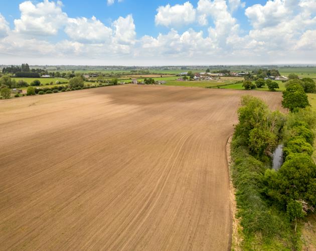 Around 22.78 Acres