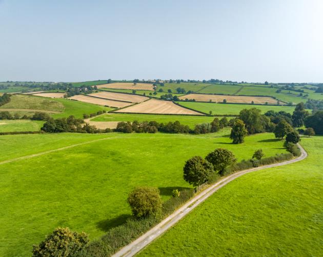 Lodge Hill Farm