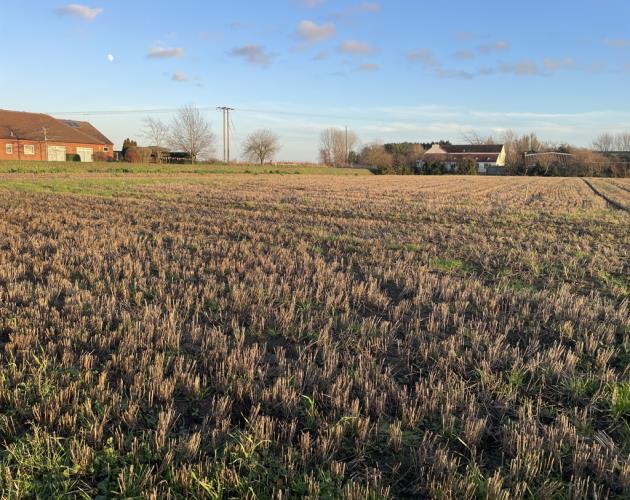 Self Build Plot