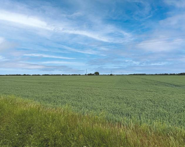 Land At Haven Drove