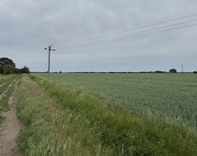 Land At Haven Drove