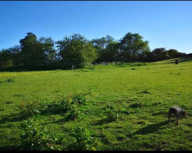 Building Plot