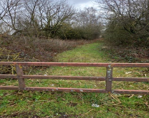 16.59 Acres Of Woodland