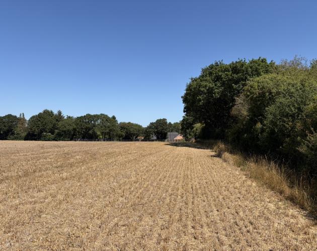 Lot 2 - Land At Costessey