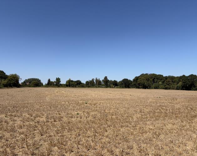 Lot 2 - Land At Costessey
