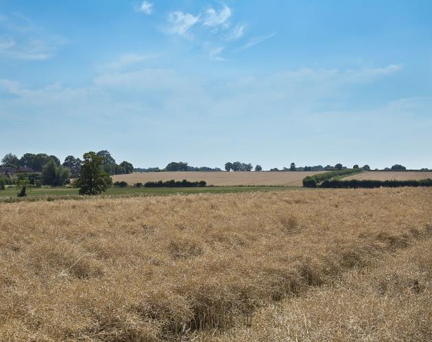 Land At