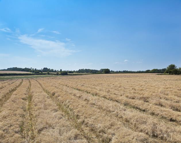 Land At