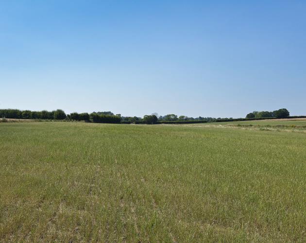 Land At