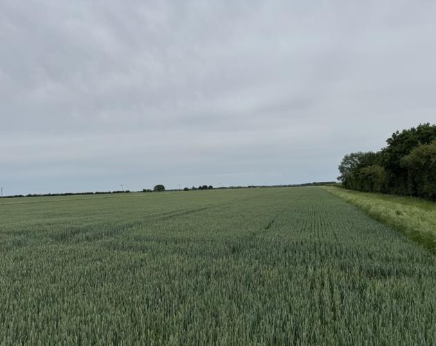 Land At Haven Drove