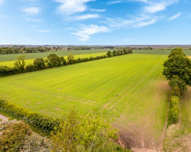 Lot 2 - Around 11.50 Acres