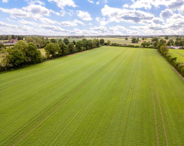 Lot 2 - Around 11.50 Acres