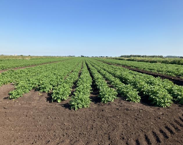 201.26 Hectares (497.34 Acres)