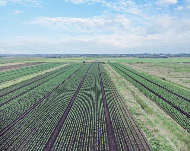 201.26 Hectares (497.34 Acres)