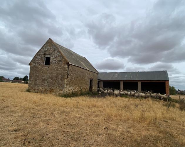 Berryfields Farm