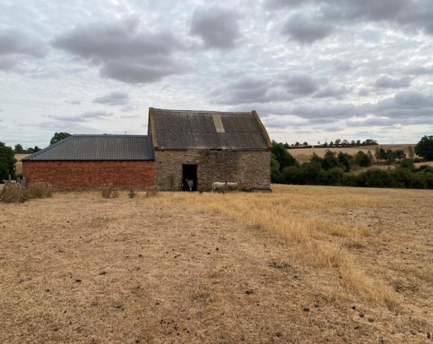 Berryfields Farm
