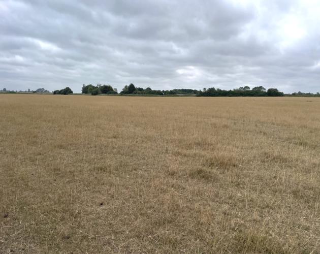Lot 1 - Pasture Land At The Corkerets