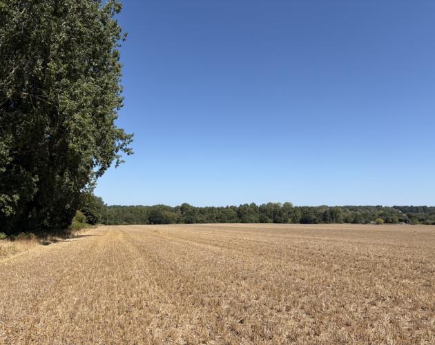 Lot 1 - Land At Costessey