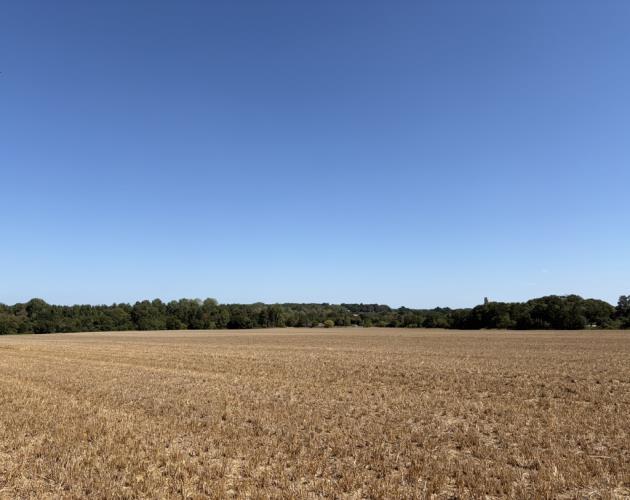 Lot 1 - Land At Costessey