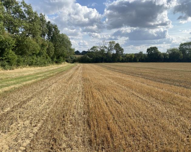 Land At Byfield