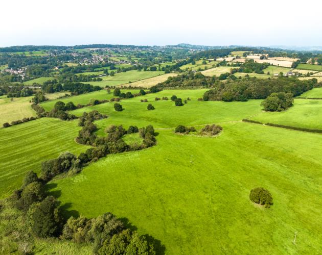 Lodge Hill Farm