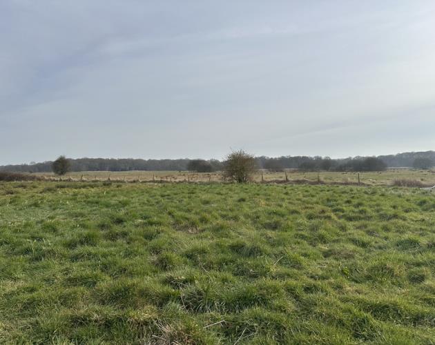 Causeway Farm
