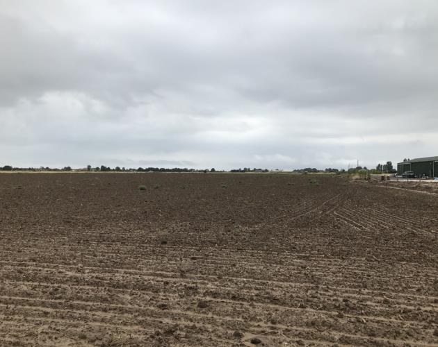 Land