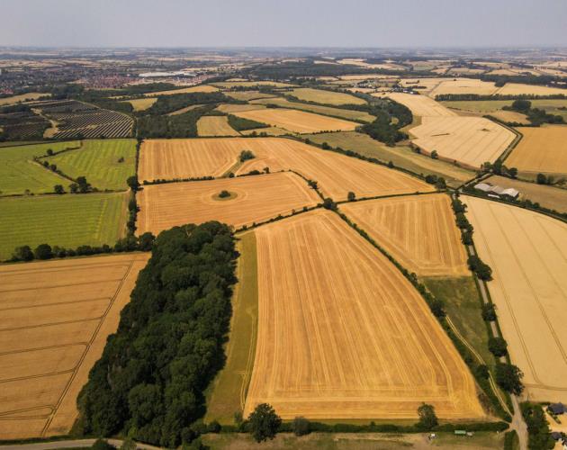 Land At White Lodge Farm