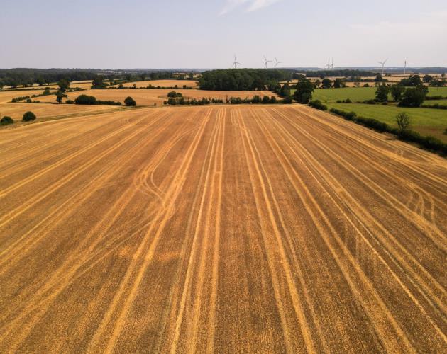 Land At White Lodge Farm