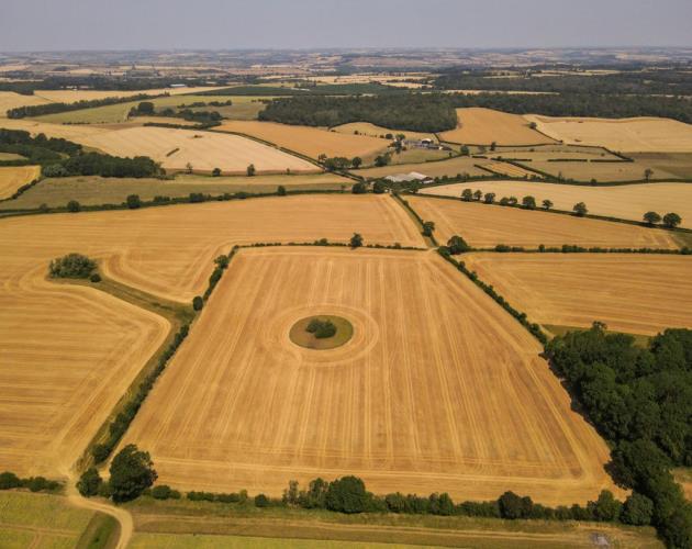 Land At White Lodge Farm