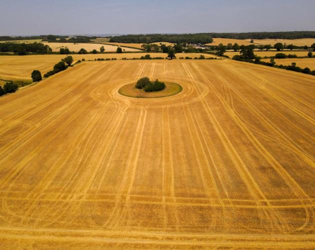 Land At White Lodge Farm