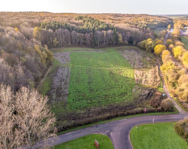 Lot 2 - 0.81 Hectare (2.00 Acre) Paddock