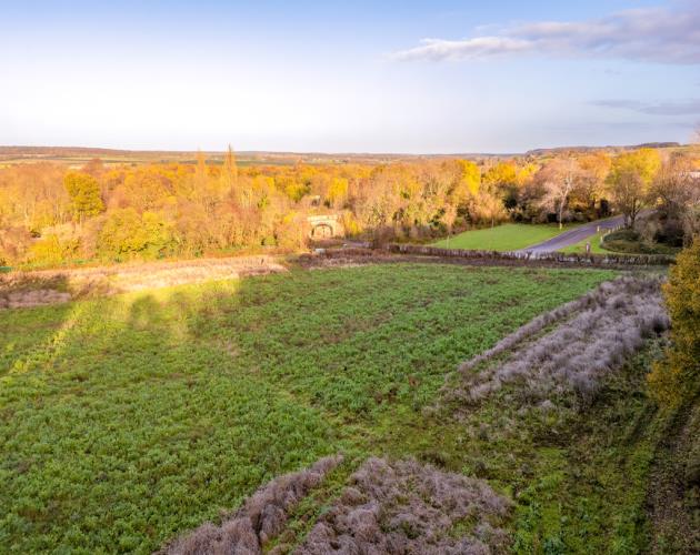Lot 2 - 0.81 Hectare (2.00 Acre) Paddock