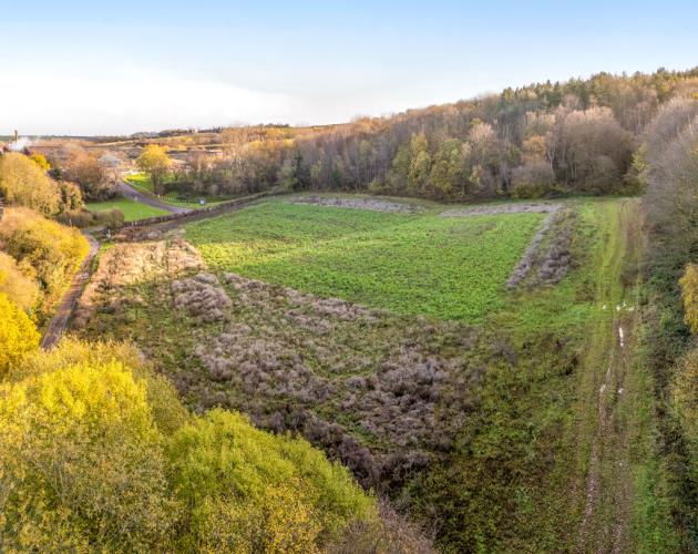 Lot 2 - 0.81 Hectare (2.00 Acre) Paddock