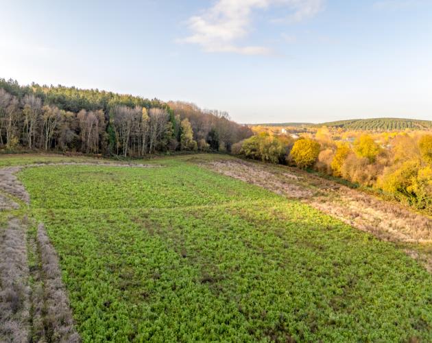 Lot 2 - 0.81 Hectare (2.00 Acre) Paddock