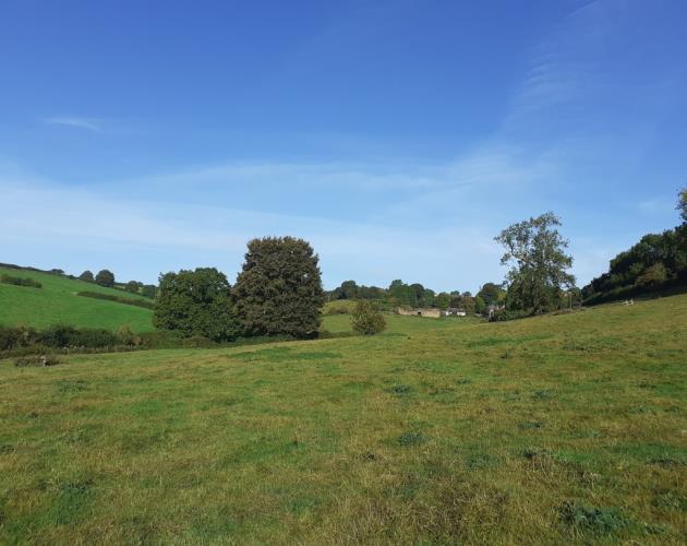 Lot 1