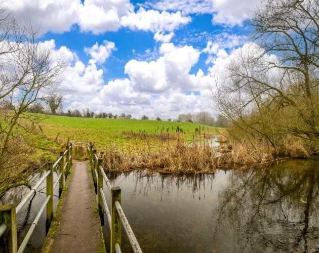 Lot 2 Comprising 12.87 Acres