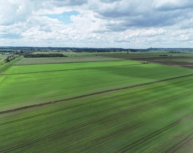Lot 2 - 50.35 Hectares (124.44 Acres)