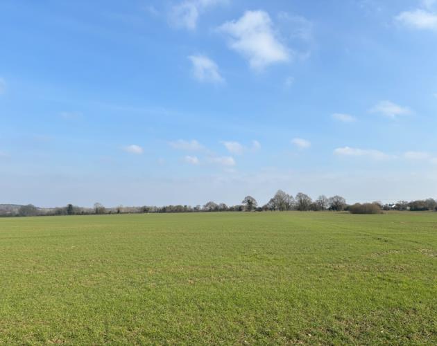 55.39 Acres Of Land Off Hollow Lane