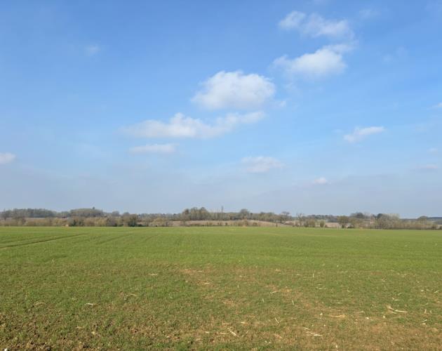 55.39 Acres Of Land Off Hollow Lane
