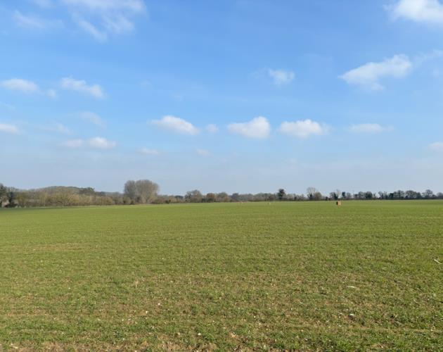 55.39 Acres Of Land Off Hollow Lane