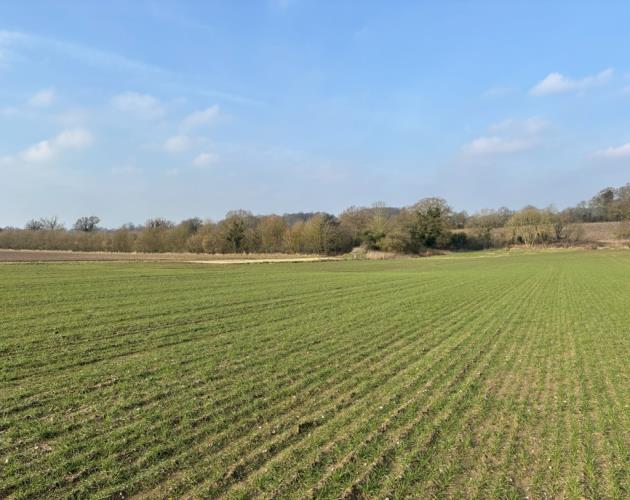 55.39 Acres Of Land Off Hollow Lane