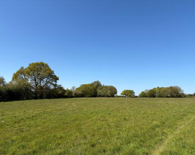 Land At Grove Farm