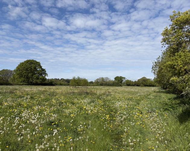 Land At Grove Farm