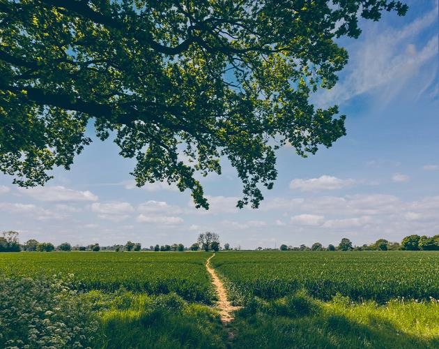 Land At Long Stratton