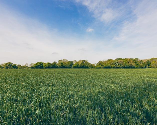 Land At Long Stratton