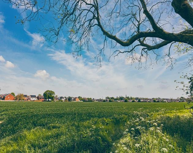Land At Long Stratton